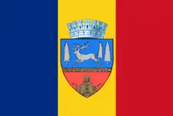 Flag of Bacău