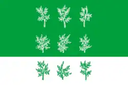 Flag of Bogoroditsky District