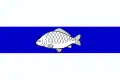 Flag of Česká Rybná