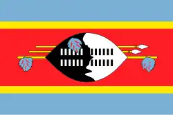 Flag of Eswatini with lighter colors