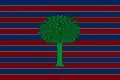 Flag of Floresta