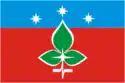 Flag of Pushchino