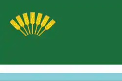 Flag of Sterlitamaksky District