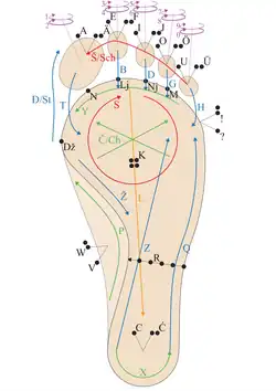 Lorm alphabet adapted for people who do not have or cannot use their hands. Two additional gestures: 1.) A sliding touch from the edge of the heel to the tips of the toes marks the end of each sentence unless it is a question or an exclamation. 2.) A full palm-to-sole touch indicates the end of a conversation or a change of speaker. It is adapted for most Germanic, Slavic and Romance languages.