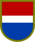 9th Infantry Division, 109th Military Intelligence Battalion, Company E, Long-Range Surveillance Detachment