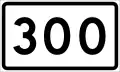 County Road 300 shield