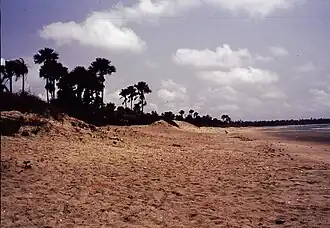 Image 3Gunjur is a small coastal town in south-western Gambia.