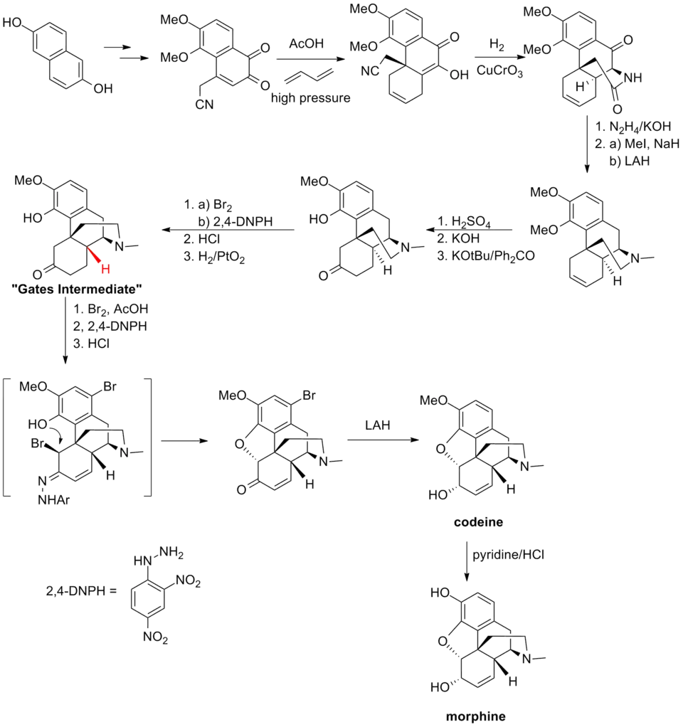 The Bates synthesis