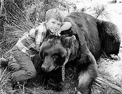 A black and white photograph of a black bear with a chain around its neck lying on the ground as a young boy rests his head on its back and smiles.