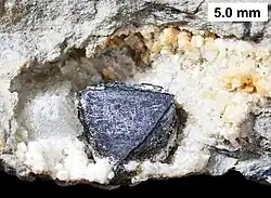 Sphalerite crystal in geodized brachiopod