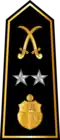 Général de division (Arabic: فريق, romanized: Fariq) (Tunisian Army)[30]