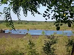 Graureihersee 2