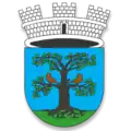 Coat of arms of Municipality of Sevnica