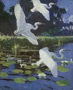 Great White Herons 1923