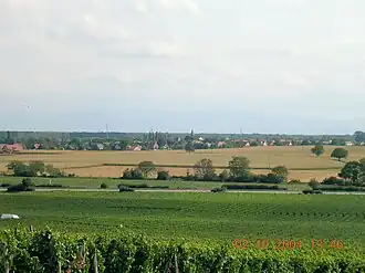A general view of Gundolsheim