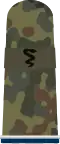 Sanitätssoldat SanOA (Army Medical Officer Candidate with the equivalent rank of private E2)
