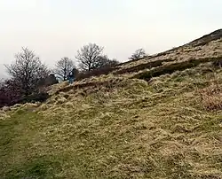 Werneth Low's Hanging Bank