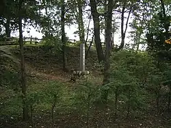 Honmaru compound of Hachigata castle