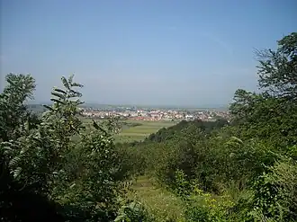 Hațeg panorama