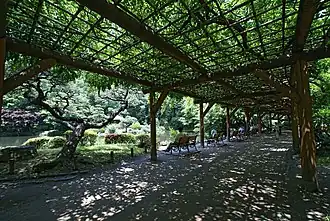 Hibiya Park Lake and Wisteria Grove