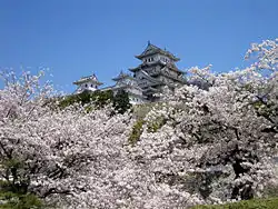 Image 27Sakura blossoms with Himeji Castle in Hyōgo Prefecture in April (from Geography of Japan)