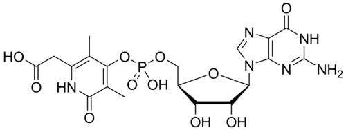 Hmd Catalyzed Reaction