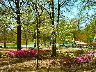 Park playground and lake.