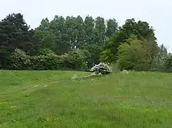 Hunstanton Park Esker