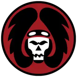 101 Squadron (Israel) Israeli Air Force