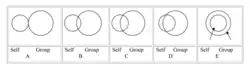 Pictorial Scale Measure of Identity Fusion.