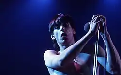 Iggy Pop performing in 1977