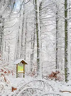 Information board with altitude 694.8 m above sea level (NHN) (2,280 ft) on the Schimmelkopf