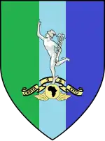 SANDF Signals Formation Emblem