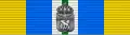 Ribbon bar of the commemorative medal