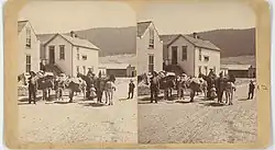 Donkeys packed on the way to a mine in Alma, Colorado, late 1880s.