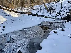 Fox Run In Forwood Preserve in Winter