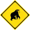 Watch for large animals (monkey)