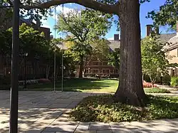 Jonathan Edwards College courtyard