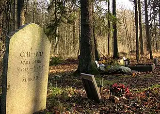 Pet cemetery in Stockholm, Sweden