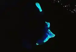 Satellite image of Kenn Reef.