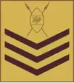 Staff sergeant (Kenya Army)