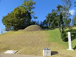 Wooded hillock and a small stone wall.