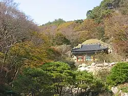 A distant view of a wooden shrine surrounded by a thick forest on the slopes of a mountain in autumn.