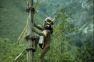 Yali Mabel, Anemaugi Village War Chief climbing kayo (traditional watchtower) at Baliem Valley in Highland Papua