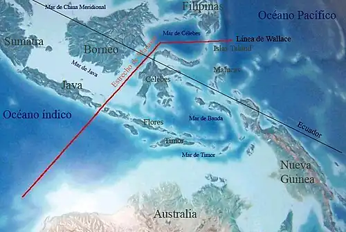 Map of Wallacea; upper right corner facing north. The red line denotes the western border of Wallacea. The eastern border corresponds to the light Australia–New Guinea shelf.