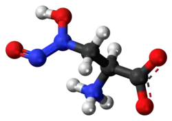 Ball-and-stick model of the L-alanosine molecule as a zwitterion