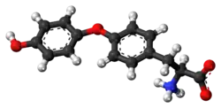 Ball-and-stick model of the L-thyronine molecule as a zwitterion