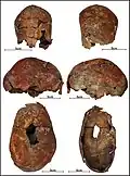 Burial 9 - Cranium in different views. Note the application of red pigment.