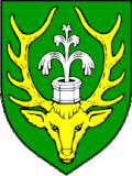 Coat of arms of Levanjska Varoš