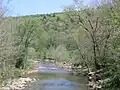 The Little Cacapon River viewed from Little Cacapon-Levels Road (County Route 3/3) near Creekvale